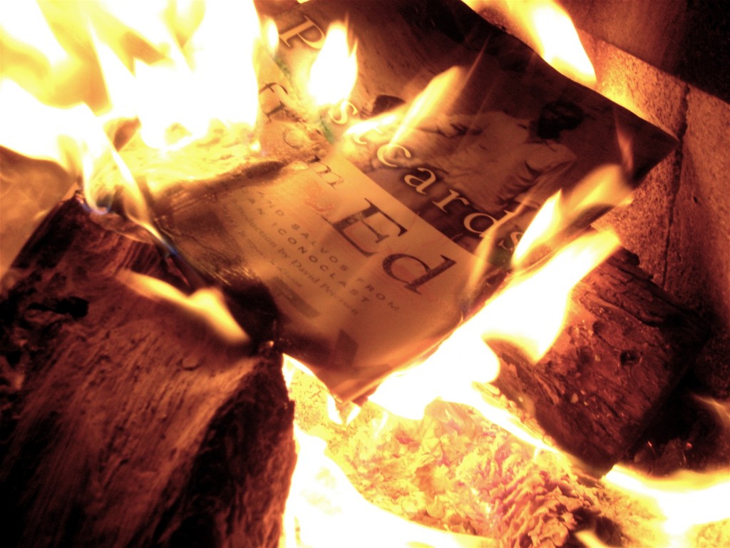 Book_burning_(3)
