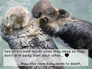 Seal-Otter